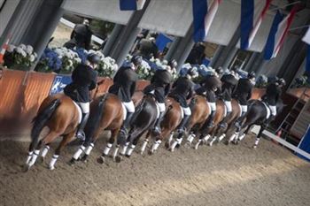 wanted show jumping, dressage horses with experience