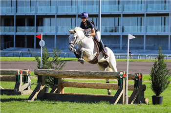 SOLD FEI all-round eventing D-pony