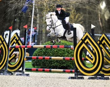Great Z-jumping pony for sale