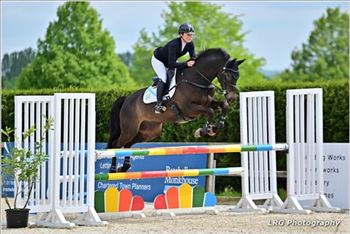 Talented young event horse/show jumper