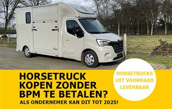Immediately available | 2-horse | De Boer Horsetrucks | #16