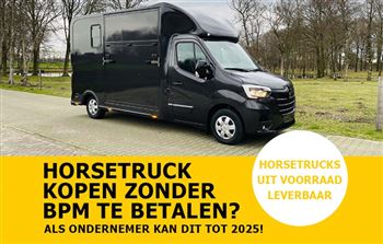 Immediately available | 2-horse | De Boer Horsetrucks | #15