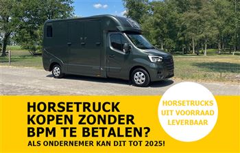 Immediately available | 2-horse | De Boer Horsetrucks | RM1385