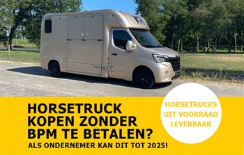 Immediately available | 2-horse | De Boer Horsetrucks | RM1388