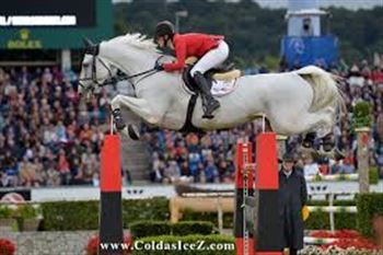 2 year old mare for sport/breeding from international jumping line