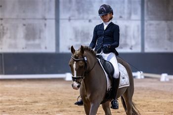 Fantastic all-round learning pony for ambitious riders with spirit